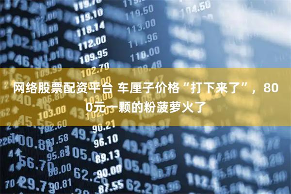 网络股票配资平台 车厘子价格“打下来了”，800元一颗的粉菠萝火了