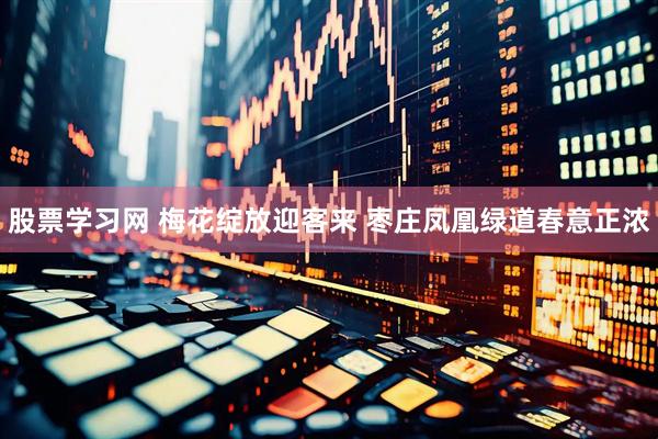 股票学习网 梅花绽放迎客来 枣庄凤凰绿道春意正浓